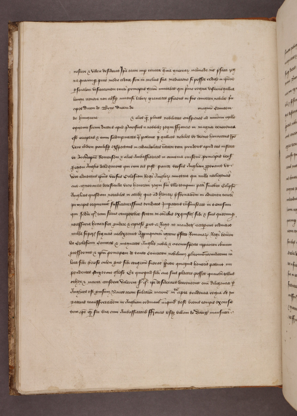 Folio 23  verso